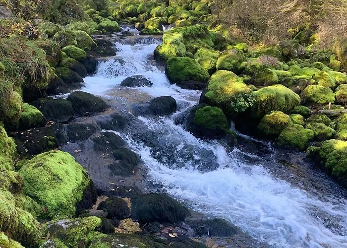 House Parabola Ferienhaus *